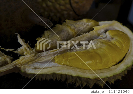 A close up photo of a Musang King durian, a spiky, oval-shaped fruit with a strong odor. A close up photo of a Musang King durian, a spiky, oval-shaped fruit with a strong odor. 111421046
