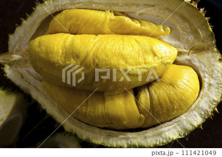 A close up photo of a Musang King durian, a spiky, oval-shaped fruit with a strong odor. A close up photo of a Musang King durian, a spiky, oval-shaped fruit with a strong odor. 111421049