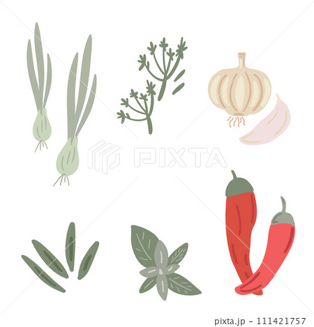 Onion garlic basil pepper kumin flat design condiment seasoning set Onion garlic basil pepper kumin flat design condiment seasoning set 111421757