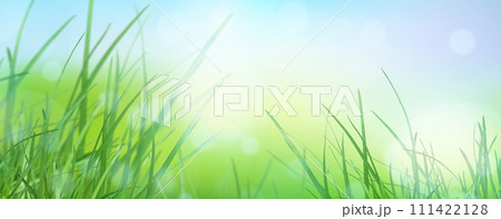 meadow. Blurred grass background. The radiance of the sun in the drops of dew on the young grass.  111422128