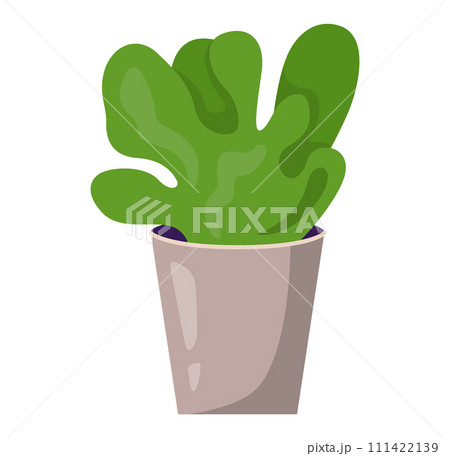 Cartoon potted plant large green leaves brown pot. Modern foliage home decoration. Houseplant design element vector illustration 111422139