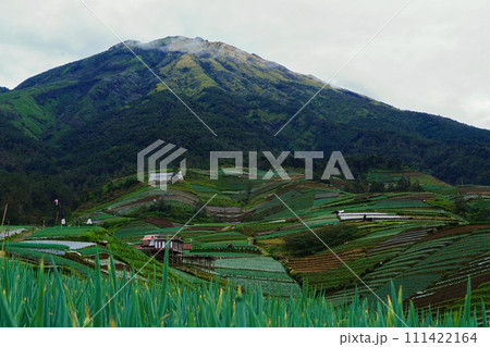 A lush green Mount Sumbing in Sukomakmur village, Magelang, Indonesia. A lush green Mount Sumbing in Sukomakmur village, Magelang, Indonesia. 111422164
