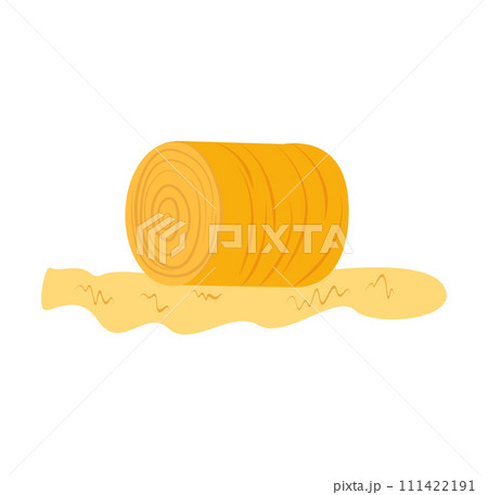 Tree log vector illustration white background, depicting single round cut log detailed wood rings textured bark 111422191