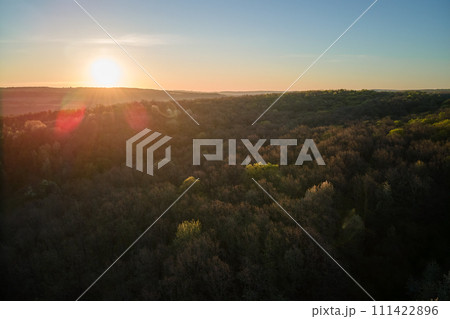Aerial view of woodland with fresh green trees in early spring at sunset 111422896