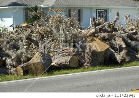 Piles of tree rubbish on road side for recovery truck pickup after hurricane in Florida residential area. Consequences of natural disaster 111422943