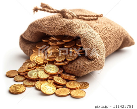 bag of gold on white background 111423781