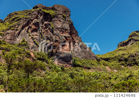Scenic Morro dos Cabritos rock or canyon with araucaria trees on sunny day in Brazil 111424698