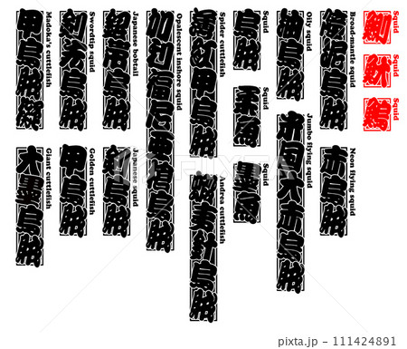 烏賊 魷 鰂 鰞 イカ IKA Squid 英語 1 烏賊 魷 鰂 鰞 イカ IKA Squid 英語 1 111424891