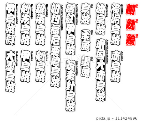 烏賊 魷 鰂 鰞 イカ IKA Squid ローマ字 1 111424896