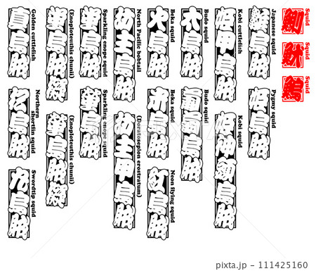烏賊 魷 鰂 鰞 イカ IKA Squid 英語 4 111425160