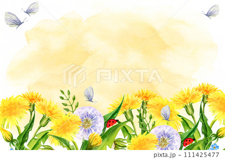 watercolor horizontal frame with summer field flowers, hand draw illustration of yellow dandelions and blow balls, leaves, herbs, butterfly on pastel watercolor background watercolor horizontal frame with summer field flowers, hand draw illustration of yellow dandelions and blow balls, leaves, herbs, butterfly on pastel watercolor background 111425477