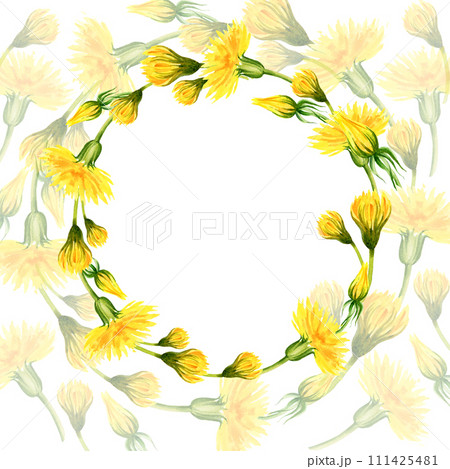watercolor wreath with summer and spring yellow dandelion, hand draw summer field flowers, buds and herbs, sketch of spring yellow flowers on transparent yellow dandelion background watercolor wreath with summer and spring yellow dandelion, hand draw summer field flowers, buds and herbs, sketch of spring yellow flowers on transparent yellow dandelion background 111425481