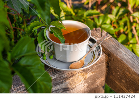 White porcelain tea cup on the wooden balcony green wild grapes background. Warm healthy herbal drink.Weekend breakfast. 111427424