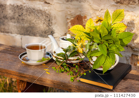 Book, autumn leaves flowers, tea cup on wooden bench, green wild grape branch. Warm herbal drink.White porcelain tea-set 111427430