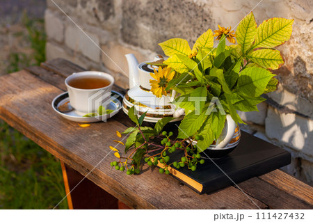 Book, autumn leaves flowers, tea cup on wooden bench, green wild grape branch. Warm herbal drink.White porcelain tea-set 111427432