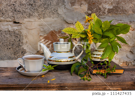 Book, autumn leaves flowers, tea cup on wooden bench, green wild grape branch. Warm herbal drink.White porcelain tea-set 111427435