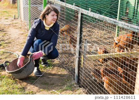 Girl farmer caring for poultry 111428611