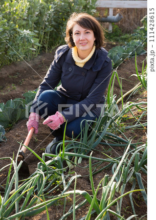 Young woman with hoe in the garden with green onions Young woman with hoe in the garden with green onions 111428615
