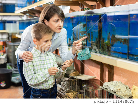 Boy with mother choosing fish Boy with mother choosing fish 111428678