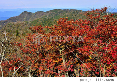 秋の丹沢山地 シロヤシオと北丹沢の紅葉 秋の丹沢山地 シロヤシオと北丹沢の紅葉 111428896