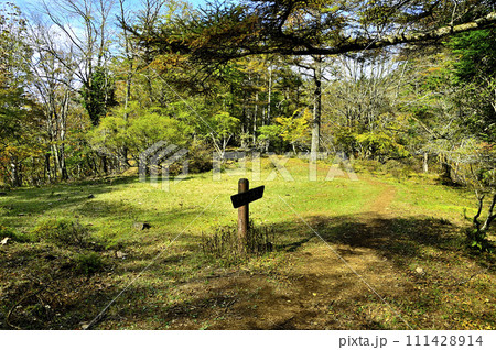 丹沢山地の蛭ヶ岳　丹沢主脈の原小屋平の広場 111428914