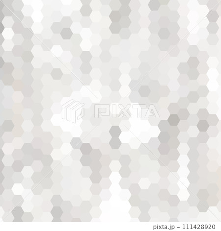 Abstract vector geometric background. template for presentation, advertising, banner, cover and more. Gray hexagon. eps 10 Abstract vector geometric background. template for presentation, advertising, banner, cover and more. Gray hexagon. eps 10 111428920
