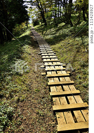 丹沢の道 丹沢主脈の姫次に続く木道 丹沢の道 丹沢主脈の姫次に続く木道 111428927