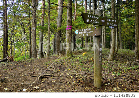 丹沢の道 丹沢主脈の黍殻山 青根分岐 丹沢の道 丹沢主脈の黍殻山 青根分岐 111428935