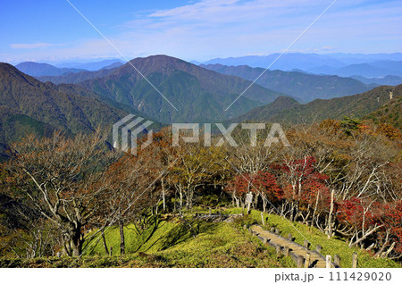 秋の丹沢山地　紅葉の蛭ヶ岳より大室山を望む 111429020
