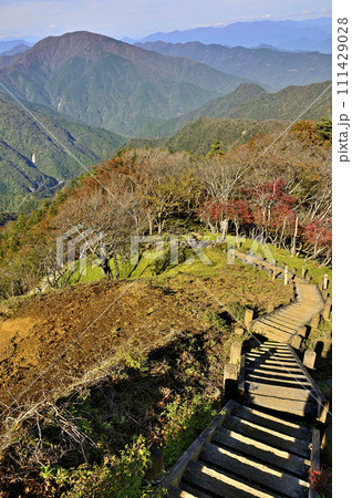 秋の丹沢山地　紅葉の丹沢主脈　蛭ヶ岳より大室山を望む 111429028