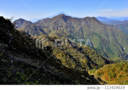 紅葉の丹沢山地 蛭ヶ岳より富士山と檜洞丸が重なる展望 紅葉の丹沢山地 蛭ヶ岳より富士山と檜洞丸が重なる展望 111429029