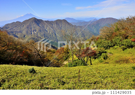 紅葉の丹沢山地 蛭ヶ岳より望む富士山と秋色の西丹沢 紅葉の丹沢山地 蛭ヶ岳より望む富士山と秋色の西丹沢 111429035