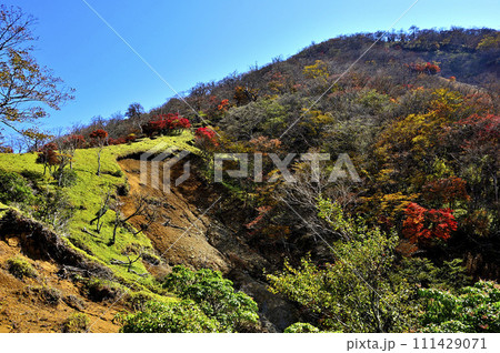 秋の丹沢山地 紅葉の蛭ヶ岳 秋の丹沢山地 紅葉の蛭ヶ岳 111429071