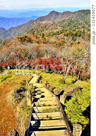 秋の丹沢山地　紅葉の丹沢主脈　蛭ヶ岳より袖平山と姫次を望む 111429077