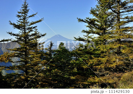丹沢　紅葉の姫次展望台より富士山を望む 111429130