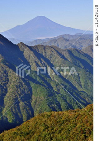 紅葉の丹沢山地　姫次より富士山を望む 111429138