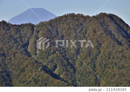 紅葉の丹沢山地　蛭ヶ岳より富士山と西丹沢を望む 111429165