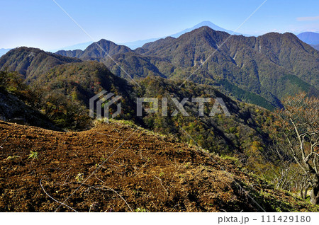 丹沢山地の蛭ヶ岳より　富士山と重なる紅葉の檜洞丸を望む 111429180