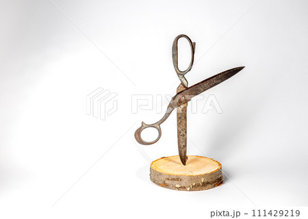 large pair of open old vintage rusty scissors. wide open old tailor shears on white background. large pair of open old vintage rusty scissors. wide open old tailor shears on white background. 111429219