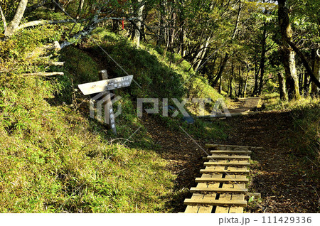 丹沢の道 丹沢主脈 八丁坂ノ頭の分岐 丹沢の道 丹沢主脈 八丁坂ノ頭の分岐 111429336