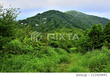 道志山塊 平尾山より夏の大窪山とイモ山を望む 道志山塊 平尾山より夏の大窪山とイモ山を望む 111429441