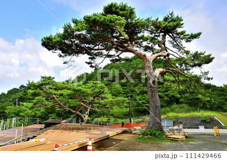 道志山塊の二十曲峠　工事中の展望テラス 111429466