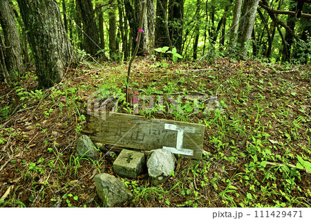 道志山塊の砂須山山頂 森の中の縦走路 道志山塊の砂須山山頂 森の中の縦走路 111429471