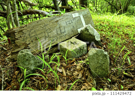 道志山塊の砂須山山頂 森の中の縦走路 道志山塊の砂須山山頂 森の中の縦走路 111429472