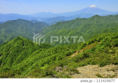 丹沢山地の不動ノ峰から望む 緑の山地と富士山 丹沢山地の不動ノ峰から望む 緑の山地と富士山 111429877