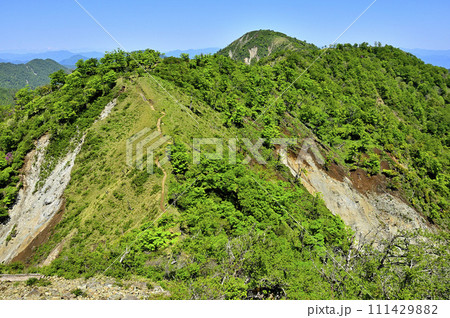 丹沢山地の不動ノ峰より 緑の丹沢主脈 蛭ヶ岳を望む 丹沢山地の不動ノ峰より 緑の丹沢主脈 蛭ヶ岳を望む 111429882