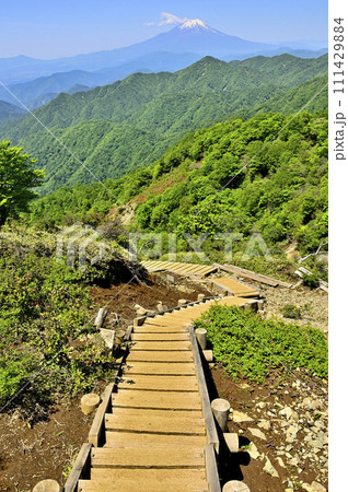 丹沢山地の不動ノ峰より　丹沢主脈より望む初夏の頃の富士山 111429884