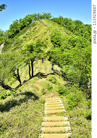 丹沢山地の不動ノ峰より棚沢ノ頭を望む　緑の丹沢主脈の縦走路を歩く 111429887