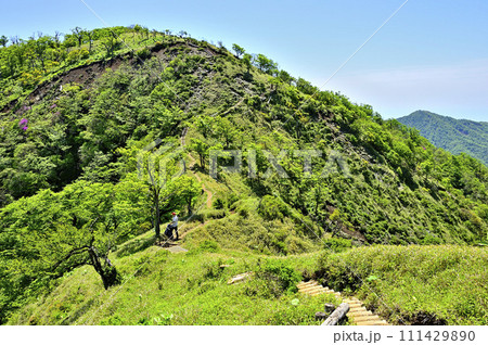 丹沢山地の棚沢ノ頭より　緑の不動ノ峰と塔ノ岳を望む 111429890