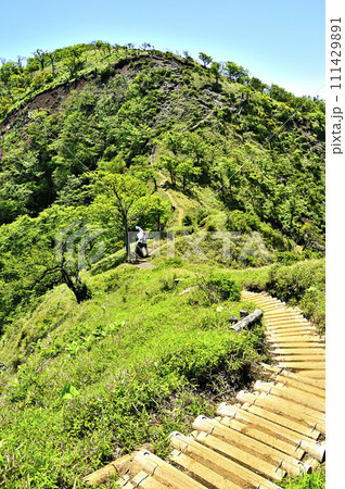丹沢山地の棚沢ノ頭より　緑の不動ノ峰を望む丹沢主脈の縦走路 111429891